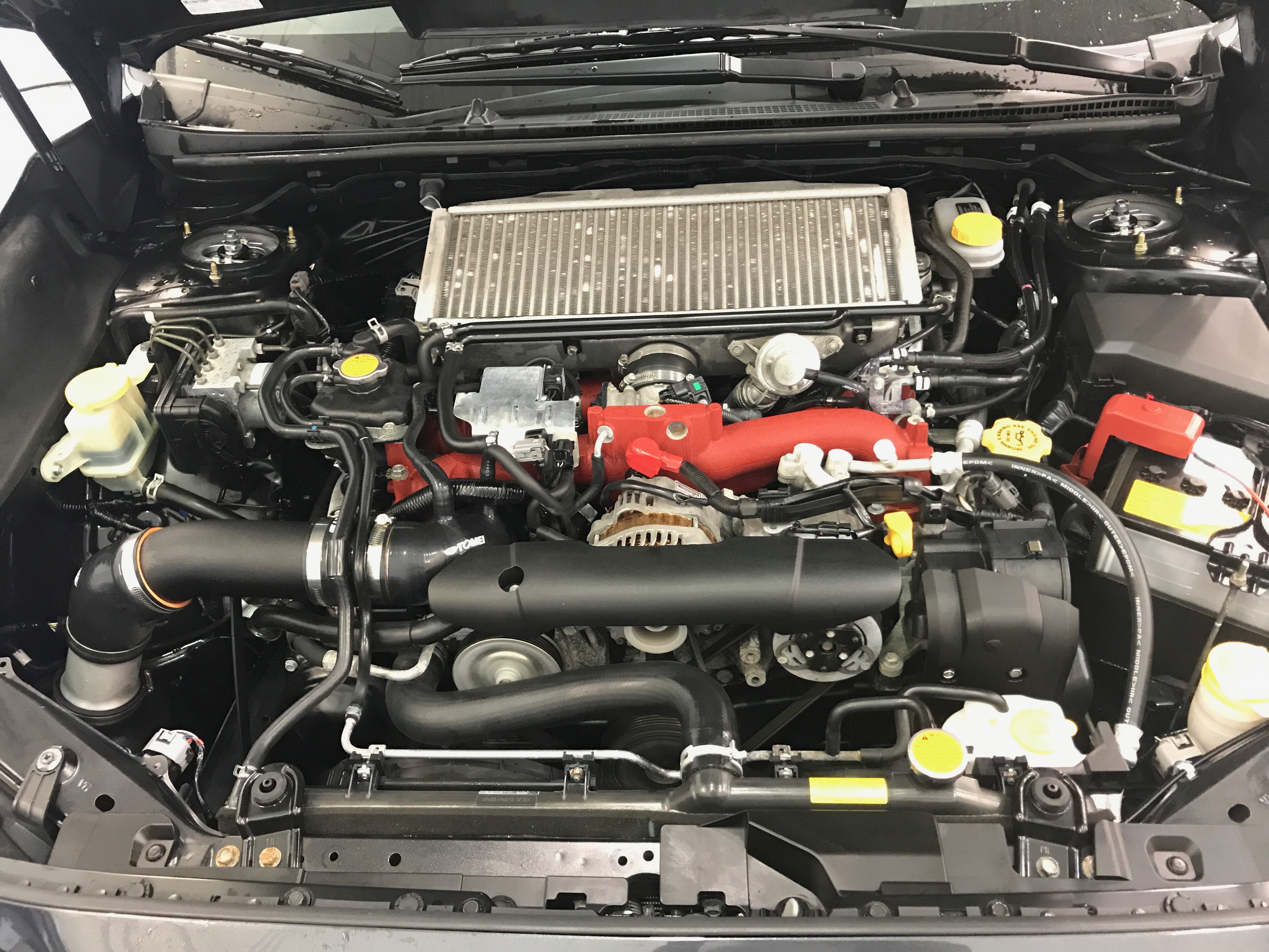 Corey Fernandes 2015 Subaru WRX STI TBGLIVE4
