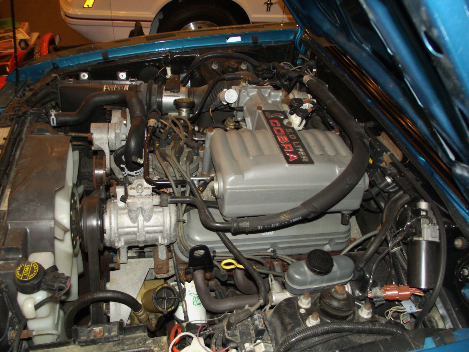 Jonathan Da Silva 1991 Ford Mustang GT TBGLIVE3